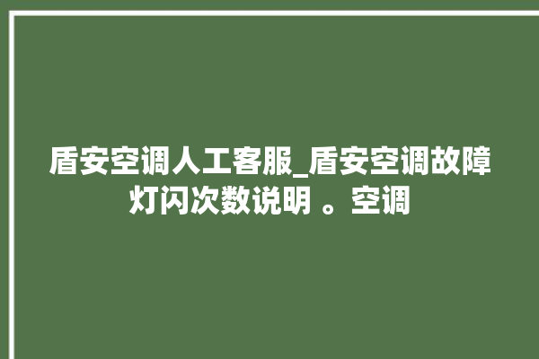 盾安空调人工客服_盾安空调故障灯闪次数说明 。空调