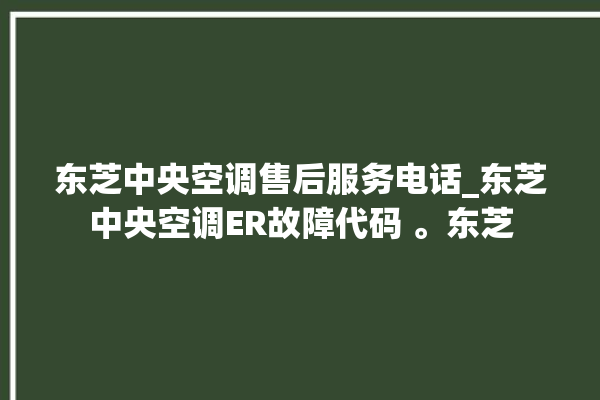 东芝中央空调售后服务电话_东芝中央空调ER故障代码 。东芝