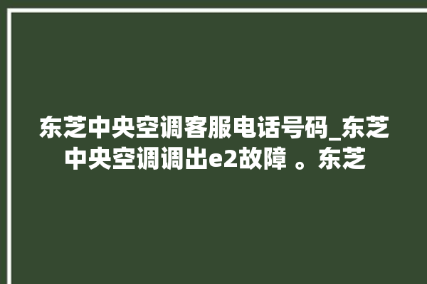 东芝中央空调客服电话号码_东芝中央空调调出e2故障 。东芝