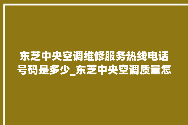 东芝中央空调维修服务热线电话号码是多少_东芝中央空调质量怎么样排名第几 。东芝