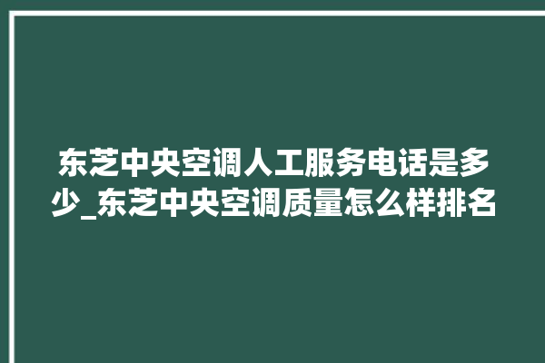 东芝中央空调人工服务电话是多少_东芝中央空调质量怎么样排名第几 。东芝