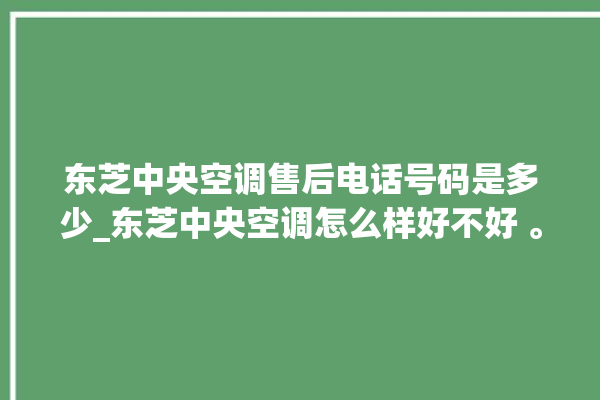 东芝中央空调售后电话号码是多少_东芝中央空调怎么样好不好 。东芝