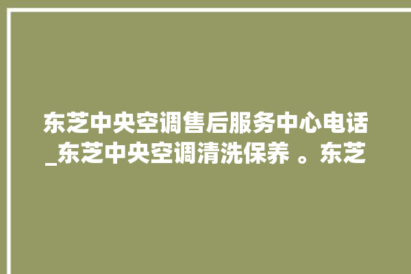 东芝中央空调售后服务中心电话_东芝中央空调清洗保养 。东芝