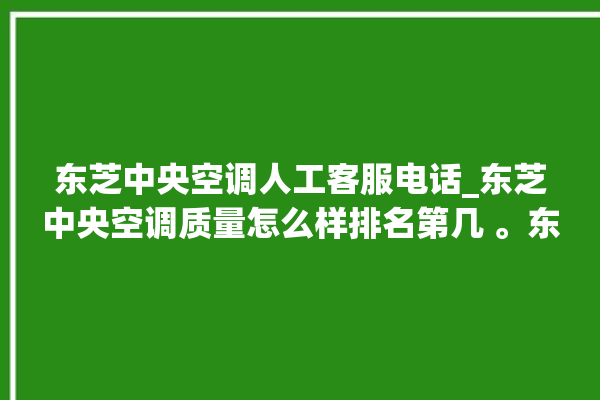 东芝中央空调人工客服电话_东芝中央空调质量怎么样排名第几 。东芝