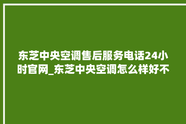 东芝中央空调售后服务电话24小时官网_东芝中央空调怎么样好不好 。东芝