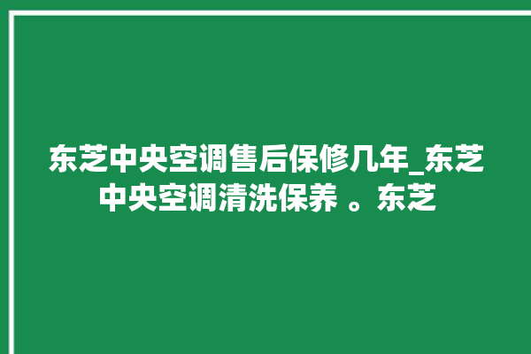 东芝中央空调售后保修几年_东芝中央空调清洗保养 。东芝