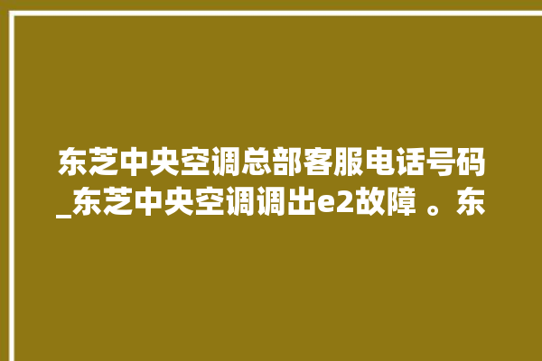 东芝中央空调总部客服电话号码_东芝中央空调调出e2故障 。东芝