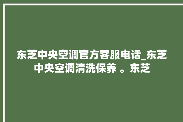 东芝中央空调官方客服电话_东芝中央空调清洗保养 。东芝