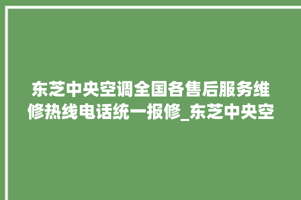 东芝中央空调全国各售后服务维修热线电话统一报修_东芝中央空调故障代码大全对照表 。东芝