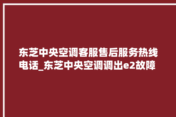 东芝中央空调客服售后服务热线电话_东芝中央空调调出e2故障 。东芝