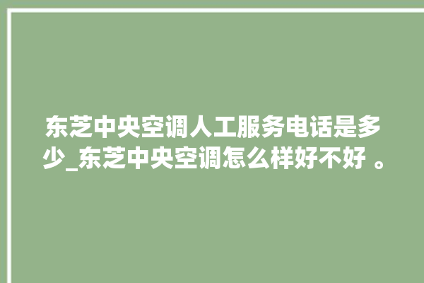 东芝中央空调人工服务电话是多少_东芝中央空调怎么样好不好 。东芝