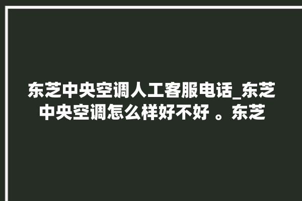 东芝中央空调人工客服电话_东芝中央空调怎么样好不好 。东芝