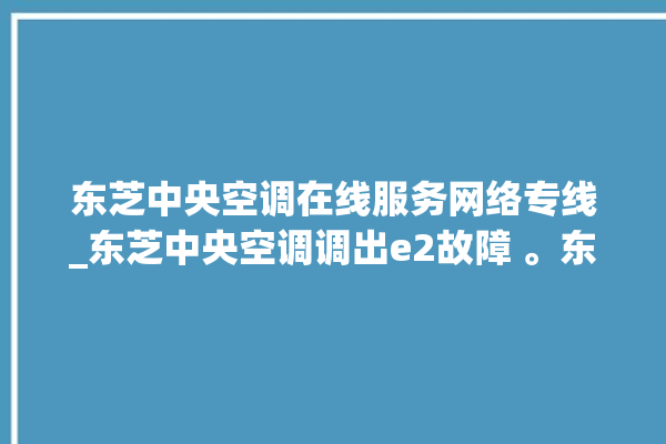 东芝中央空调在线服务网络专线_东芝中央空调调出e2故障 。东芝