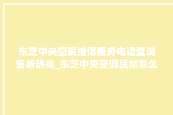 东芝中央空调维修服务电话查询售后热线_东芝中央空调质量怎么样排名第几 。东芝