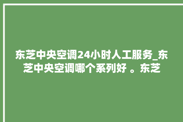 东芝中央空调24小时人工服务_东芝中央空调哪个系列好 。东芝