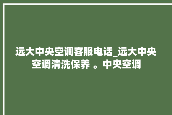 远大中央空调客服电话_远大中央空调清洗保养 。中央空调