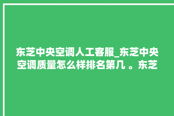 东芝中央空调人工客服_东芝中央空调质量怎么样排名第几 。东芝