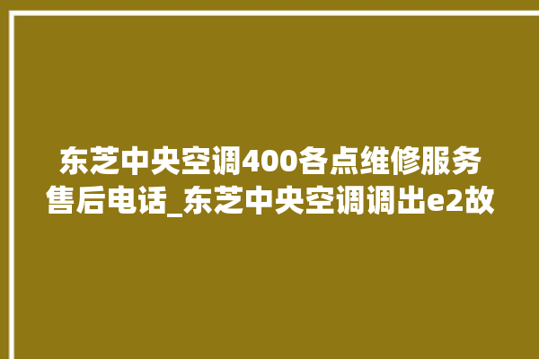 东芝中央空调400各点维修服务售后电话_东芝中央空调调出e2故障 。东芝