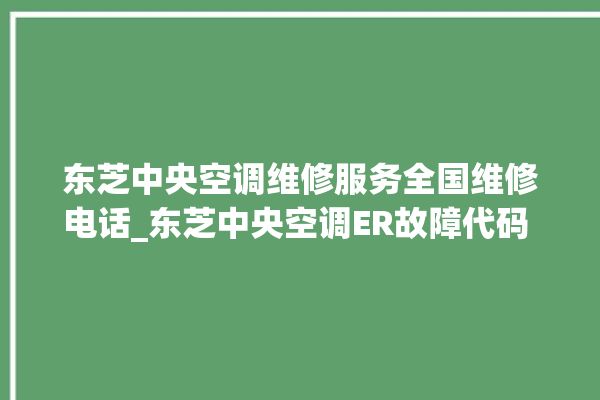 东芝中央空调维修服务全国维修电话_东芝中央空调ER故障代码 。东芝