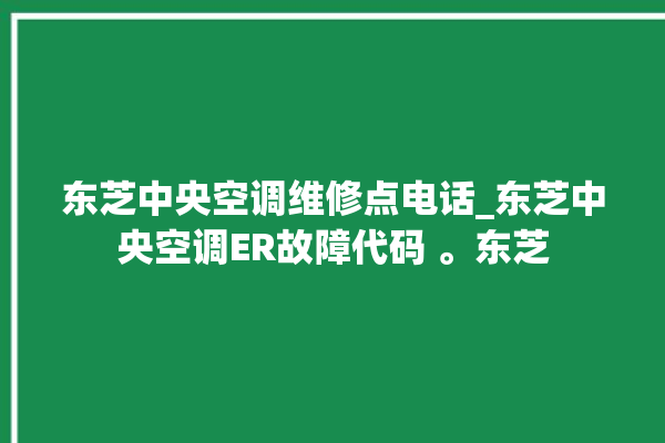 东芝中央空调维修点电话_东芝中央空调ER故障代码 。东芝