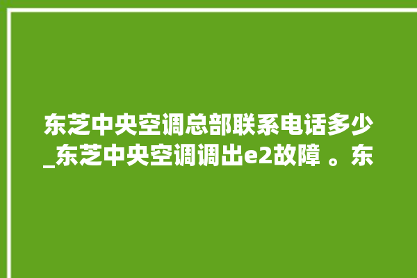 东芝中央空调总部联系电话多少_东芝中央空调调出e2故障 。东芝