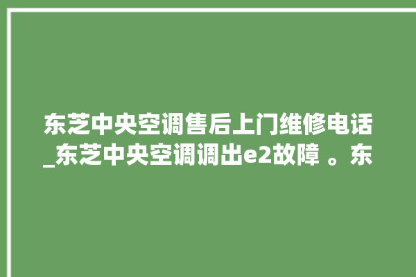 东芝中央空调售后上门维修电话_东芝中央空调调出e2故障 。东芝