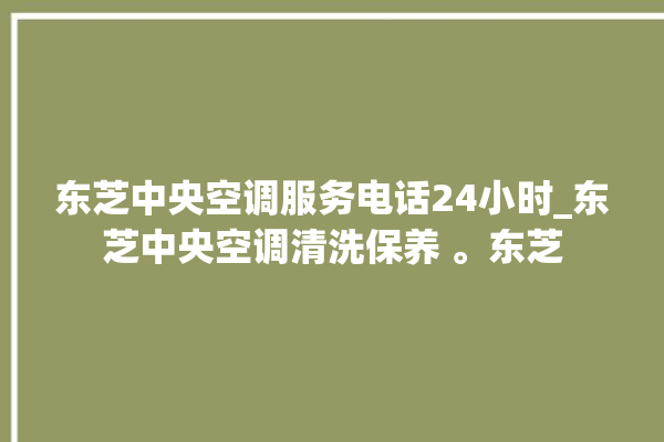 东芝中央空调服务电话24小时_东芝中央空调清洗保养 。东芝