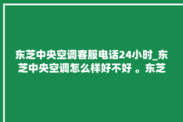 东芝中央空调客服电话24小时_东芝中央空调怎么样好不好 。东芝