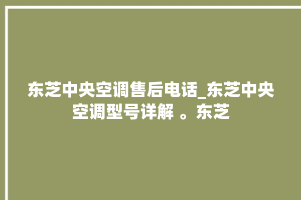 东芝中央空调售后电话_东芝中央空调型号详解 。东芝