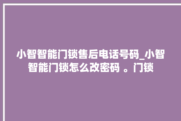 小智智能门锁售后电话号码_小智智能门锁怎么改密码 。门锁