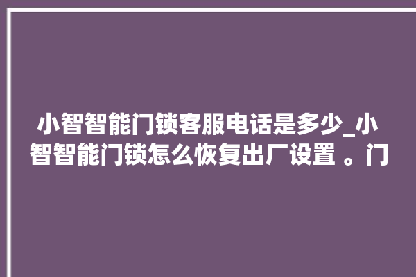 小智智能门锁客服电话是多少_小智智能门锁怎么恢复出厂设置 。门锁