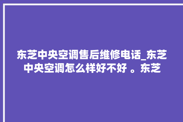 东芝中央空调售后维修电话_东芝中央空调怎么样好不好 。东芝