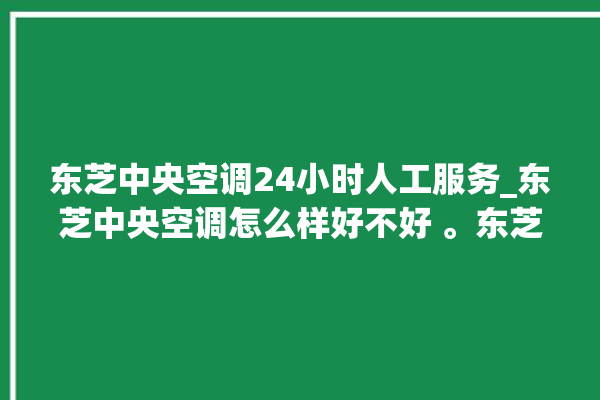 东芝中央空调24小时人工服务_东芝中央空调怎么样好不好 。东芝