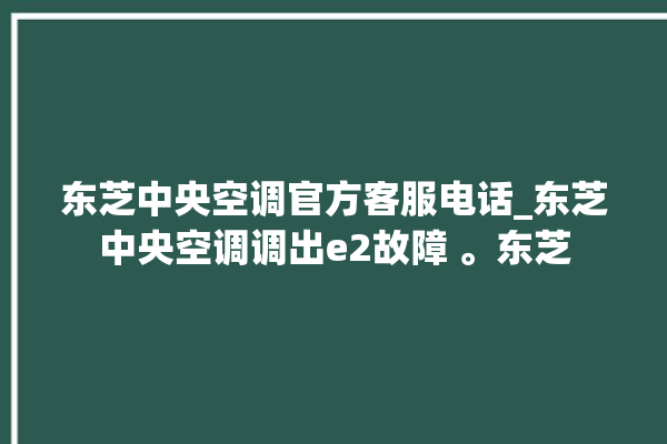 东芝中央空调官方客服电话_东芝中央空调调出e2故障 。东芝