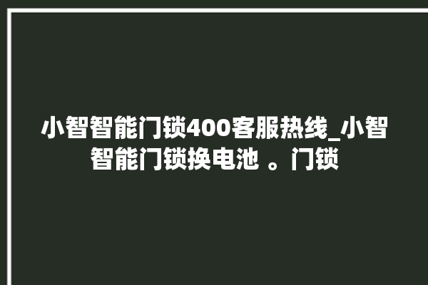 小智智能门锁400客服热线_小智智能门锁换电池 。门锁