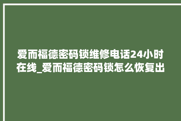 爱而福德密码锁维修电话24小时在线_爱而福德密码锁怎么恢复出厂设置 。密码锁