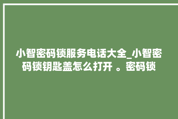 小智密码锁服务电话大全_小智密码锁钥匙盖怎么打开 。密码锁