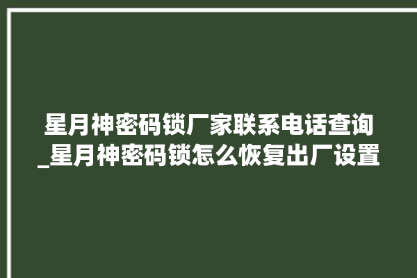 星月神密码锁厂家联系电话查询_星月神密码锁怎么恢复出厂设置 。神密