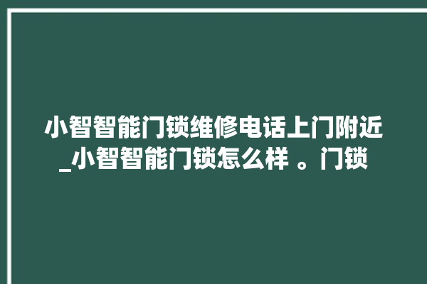 小智智能门锁维修电话上门附近_小智智能门锁怎么样 。门锁