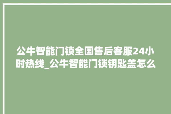 公牛智能门锁全国售后客服24小时热线_公牛智能门锁钥匙盖怎么打开 。公牛