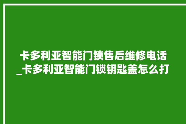 卡多利亚智能门锁售后维修电话_卡多利亚智能门锁钥匙盖怎么打开 。门锁