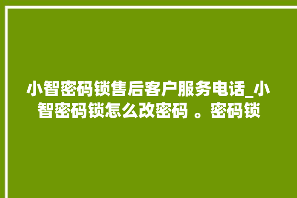 小智密码锁售后客户服务电话_小智密码锁怎么改密码 。密码锁