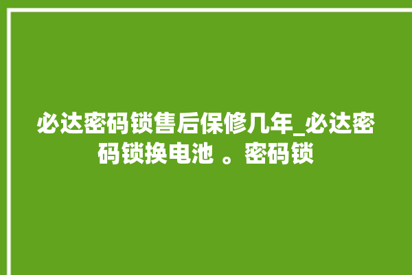 必达密码锁售后保修几年_必达密码锁换电池 。密码锁