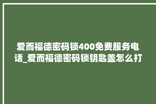 爱而福德密码锁400免费服务电话_爱而福德密码锁钥匙盖怎么打开 。密码锁