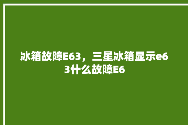 冰箱故障E63，三星冰箱显示e63什么故障E6