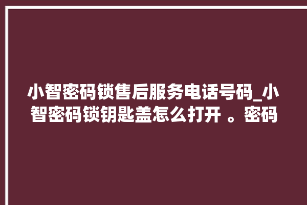 小智密码锁售后服务电话号码_小智密码锁钥匙盖怎么打开 。密码锁