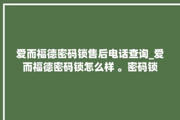 爱而福德密码锁售后电话查询_爱而福德密码锁怎么样 。密码锁