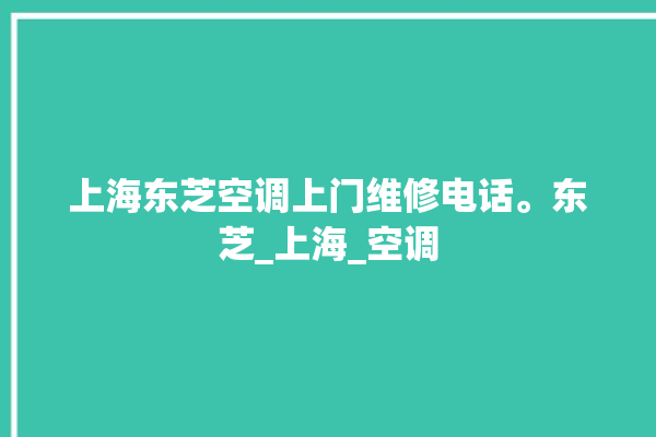 上海东芝空调上门维修电话。东芝_上海_空调