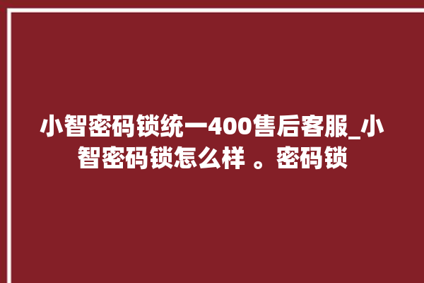 小智密码锁统一400售后客服_小智密码锁怎么样 。密码锁