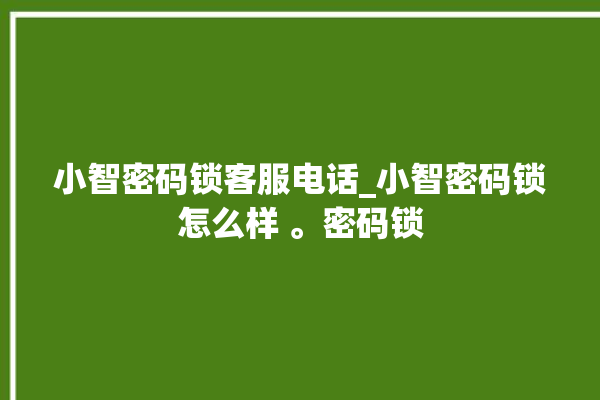 小智密码锁客服电话_小智密码锁怎么样 。密码锁